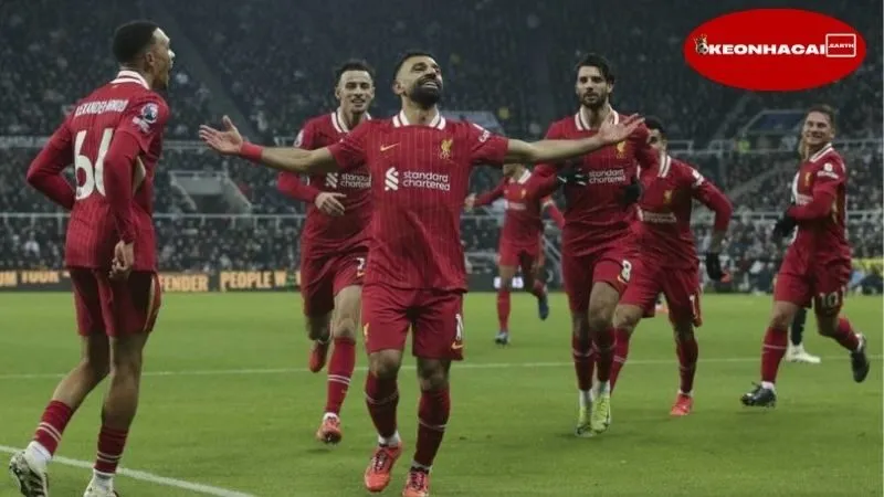 Nhận định Newcastle vs Liverpool (2h00 ngày 26/8), khó cản Lữ đoàn đỏ 2 Nhận định đặc biệt trận đấu Newcastle vs Liverpool