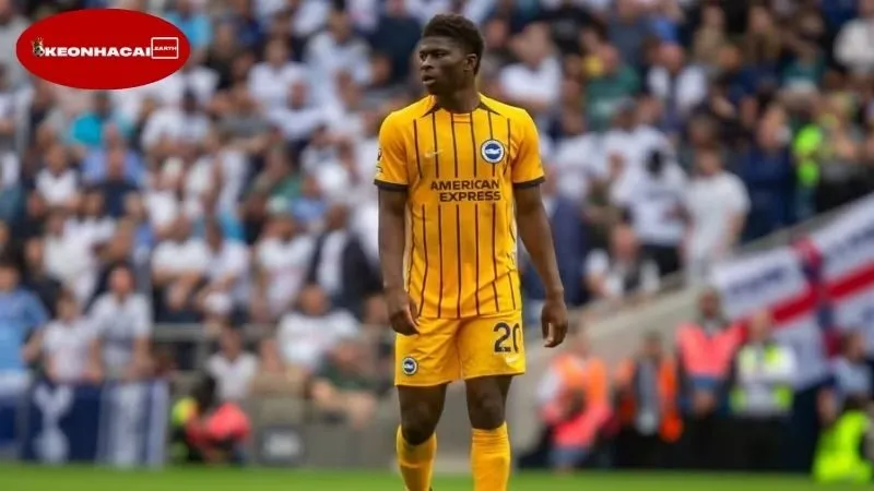 Man Utd săn Carlos Baleba, Brighton hét giá 100 triệu bảng – Thương vụ có thành công? 2 Tình hình chuyển nhượng hiện tại