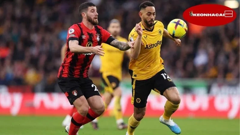 Nhận định bóng đá Bournemouth vs Wolves, 21h00 ngày 23/8, niềm vui cho đội khách! 2 Thông tin lực lượng Bournemouth vs Wolves mới nhất